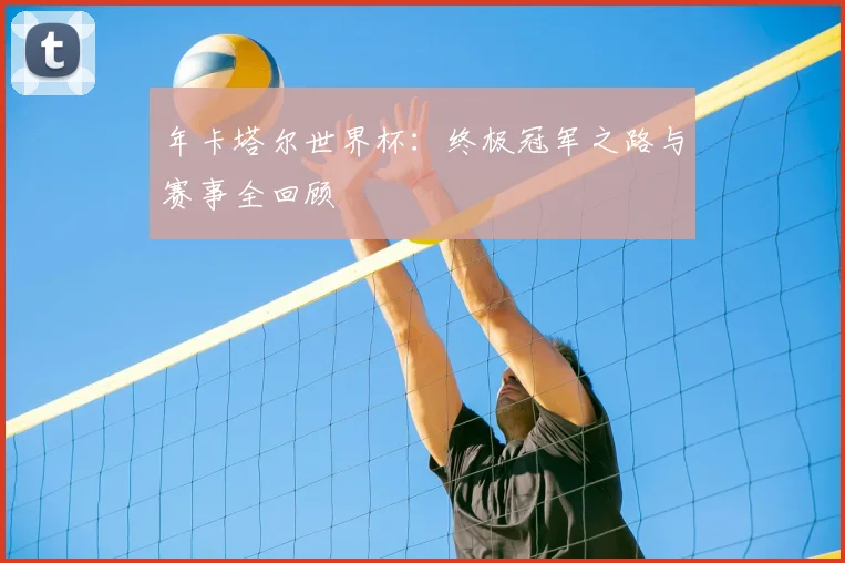 年卡塔尔世界杯：终极冠军之路与赛事全回顾
